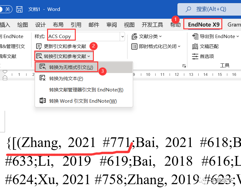 Endnote word 