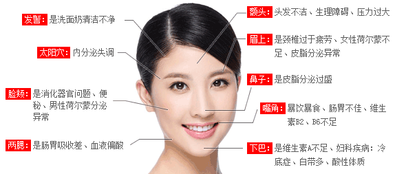 脸上长痘未必是件坏事情 不同位置的痘痘代表你的身体状况 哔哩哔哩