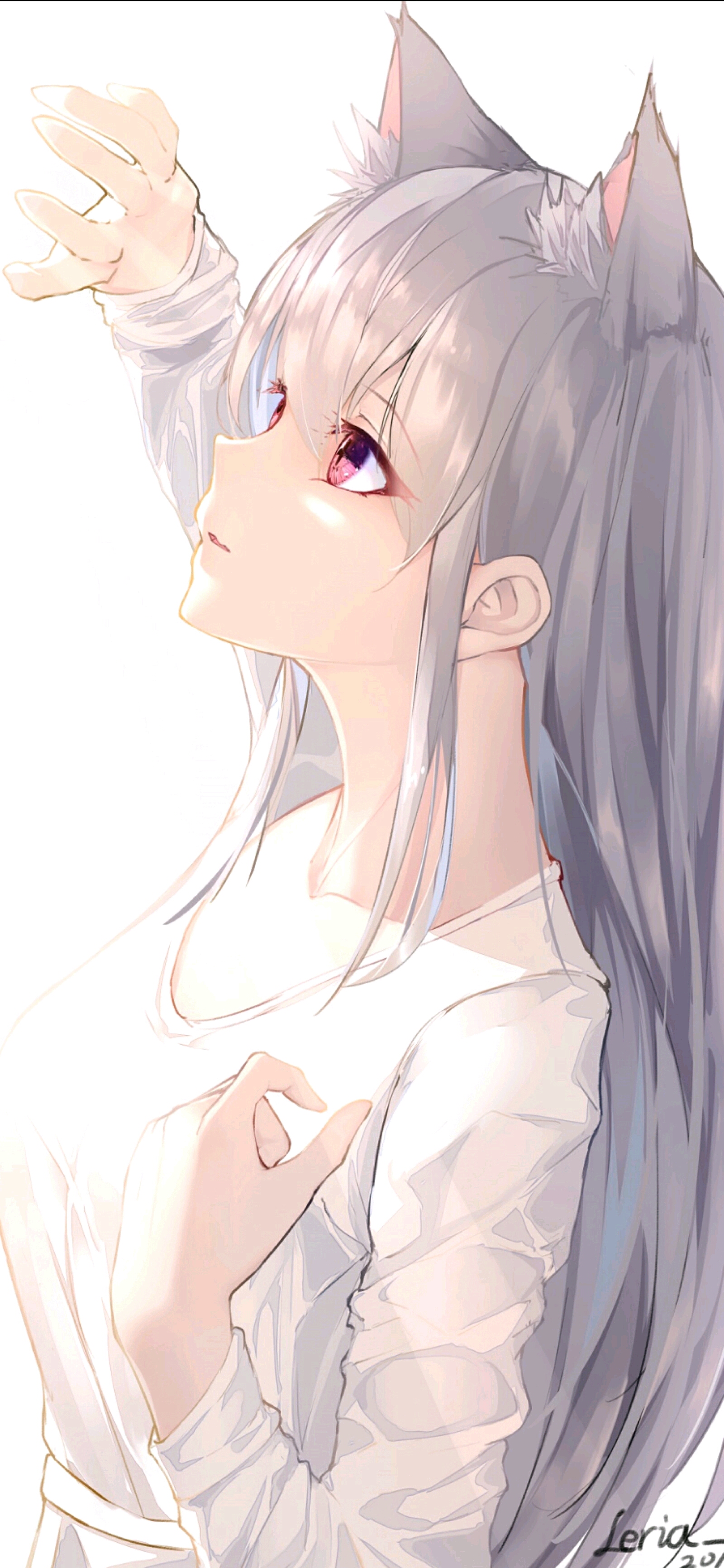 听说中国人均白毛控