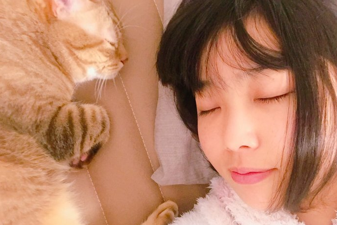 日本暗黑界cup人气排行-本次cup:c(其二)