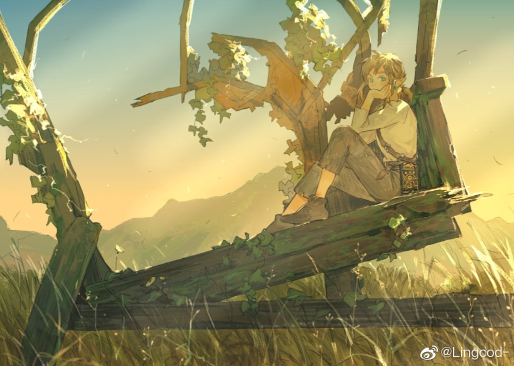 【画师安利】"塞尔达这游戏卖你400,亏了.