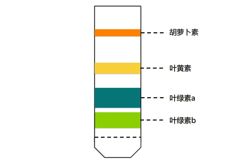 分析化学 色谱の原理 哔哩哔哩