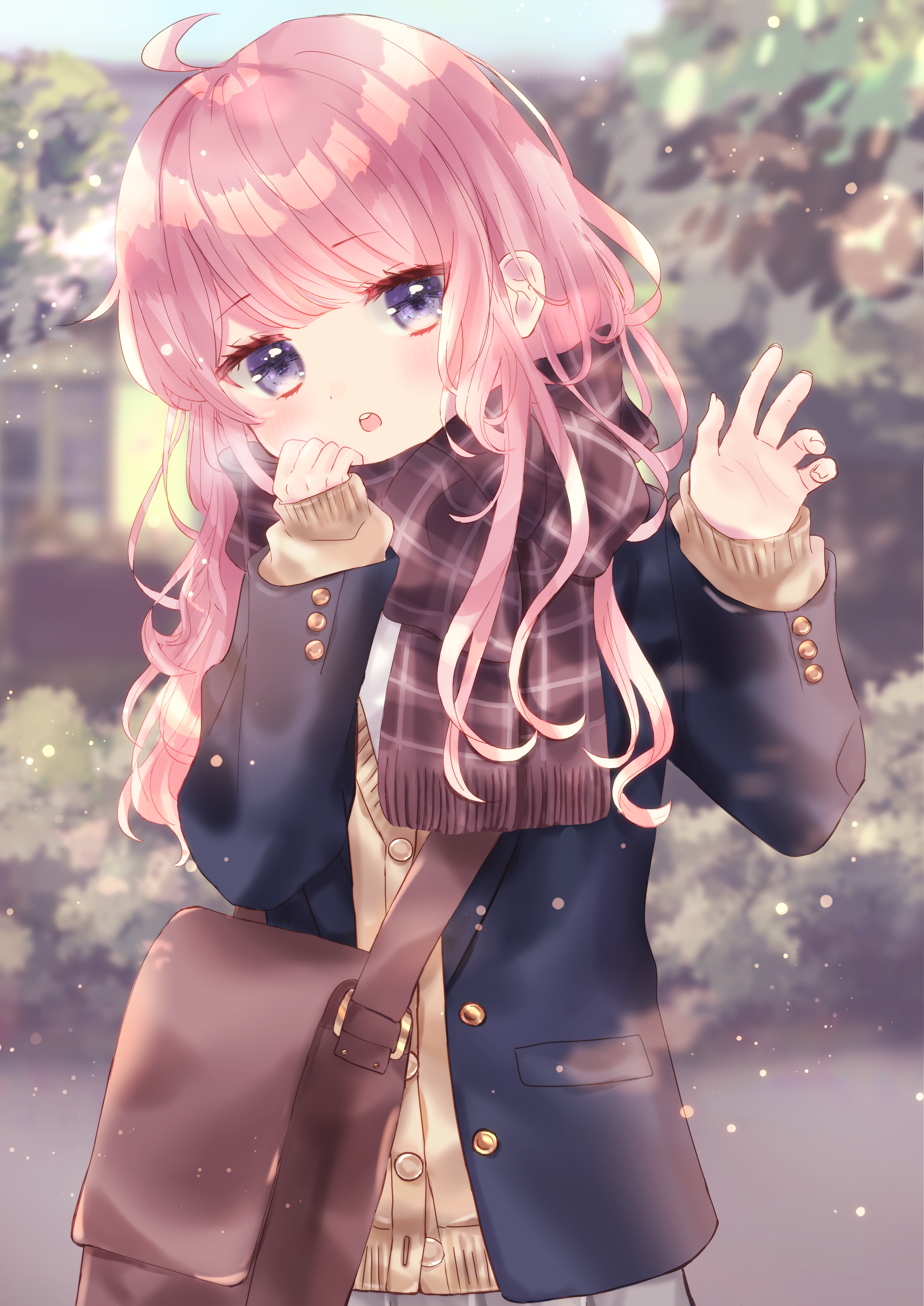 高清二次元美图5mb往上