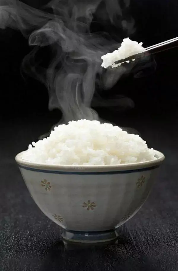 狗一直吃米饭 也长得很胖 为什么说狗一直吃米饭有害 哔哩哔哩