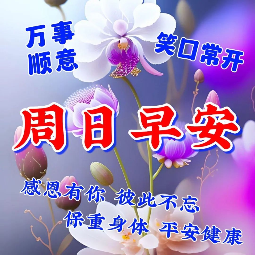 3月11日周六早上好，愉快的周末祝福语图片问候语短句 - 哔哩哔哩