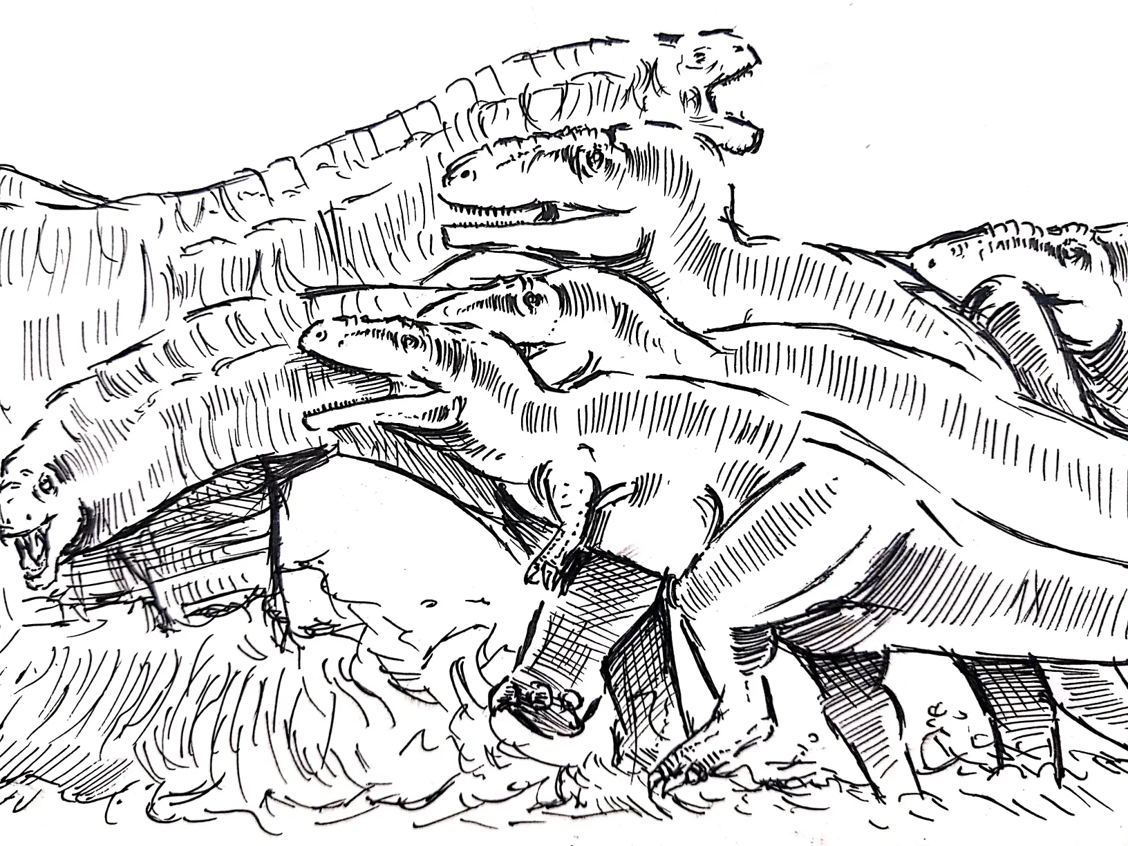 图为阿拉莫暴龙群捕食幼年阿拉莫龙10 g74原恐齿龙 (疑名)6.