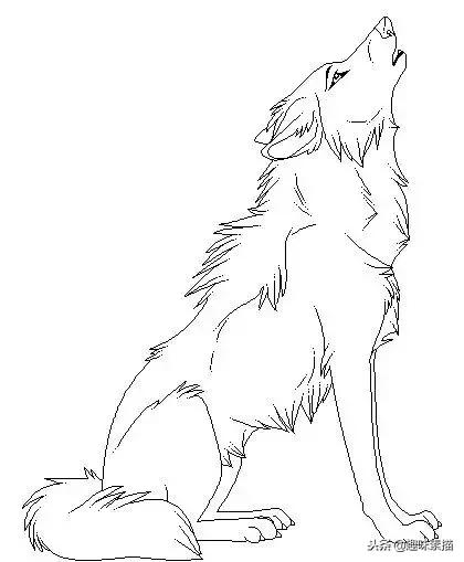 够你画一整年的动物速写教程!