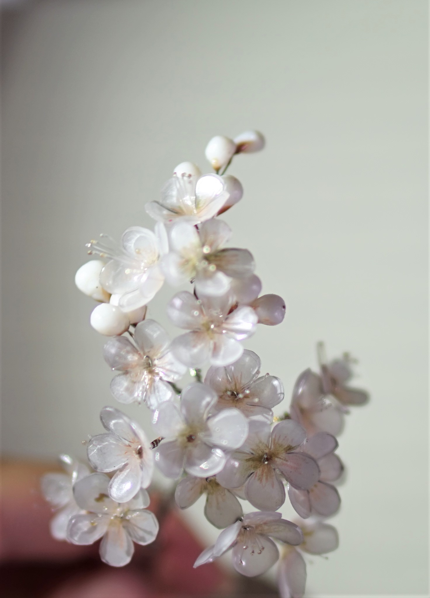 珍珠梅——敬友谊 【图解】简版易学上手快哦