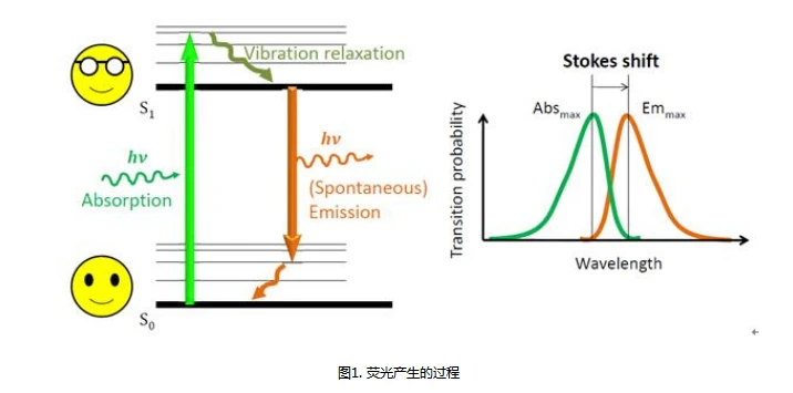 光致发光量子效率测量系统:荧光测量解决方案-莱森光学 - 哔哩哔哩