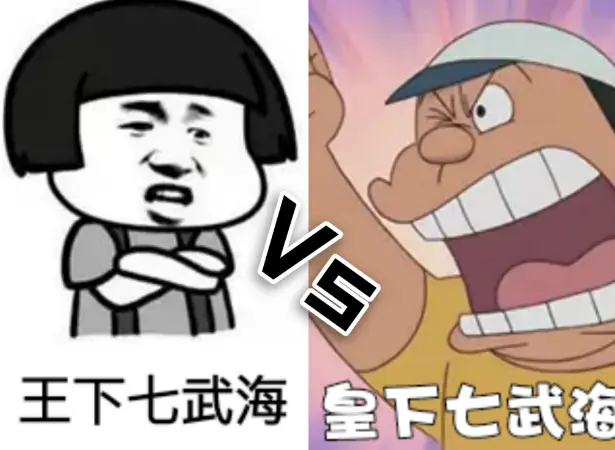 海贼王 王下七武海vs皇下七武海 前者能够在后者的手里撑多久 哔哩哔哩