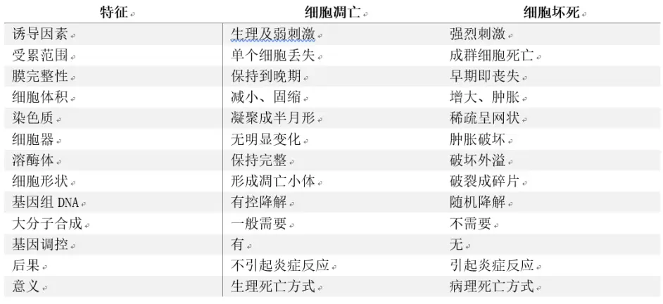 医 资料共享 细胞生物学 复习重点 下 哔哩哔哩