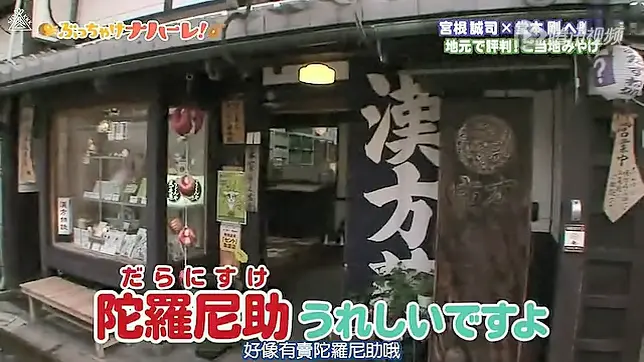 Kinki Kids 堂本家专供关西 京都 奈良 大阪 旅行攻略之 二 哔哩哔哩