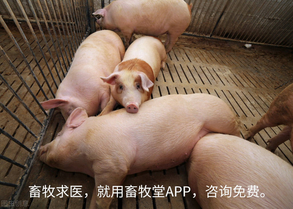 8cef6c809634cb764eb891a0d1bcc5850680c955.jpg