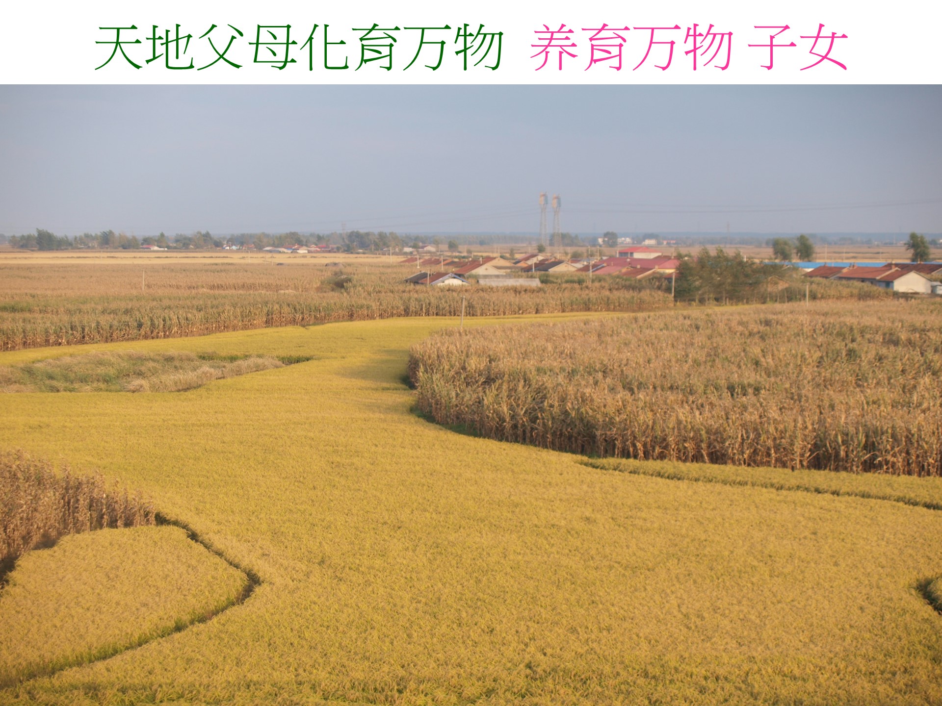 第七十一章 知道"不知道"是为真知道 哔哩哔哩