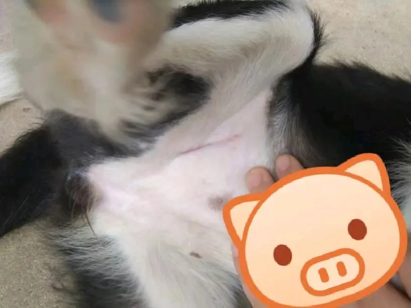 总有一种回忆值得珍藏ฅ ฅ 哔哩哔哩