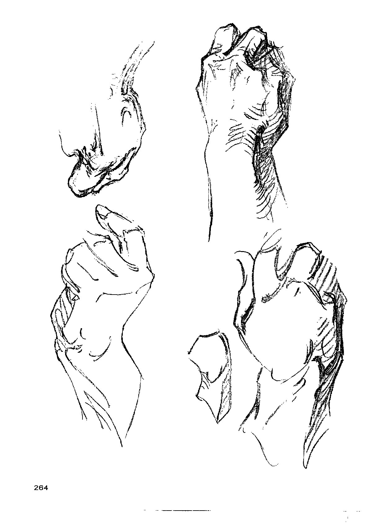 来跟仙儿菲一起研究"伯里曼"