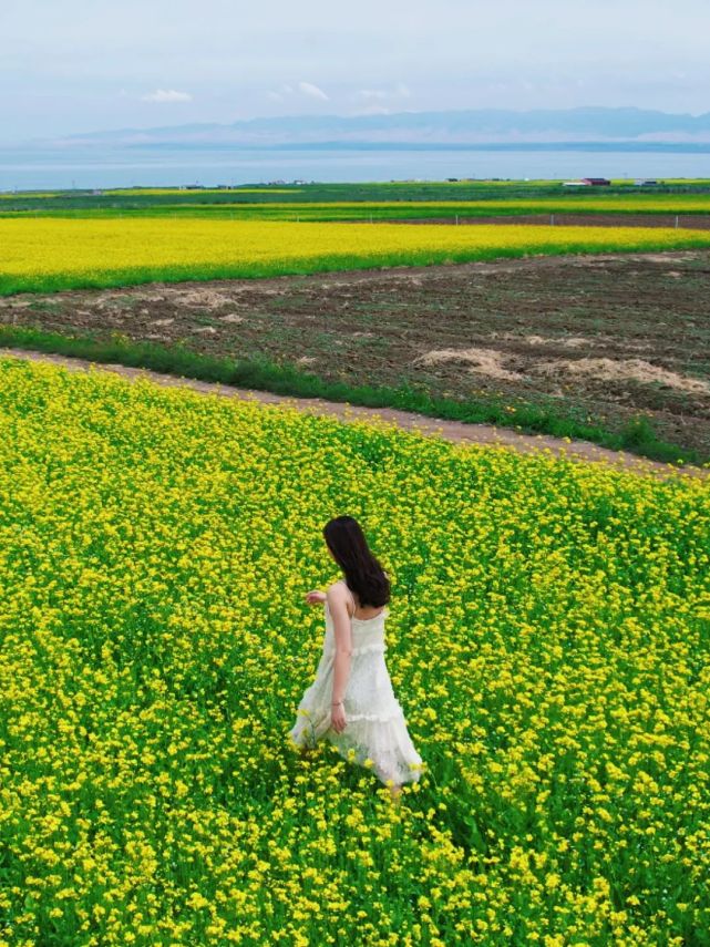 来大西北，独自一人没关系！“青海一地6天6夜”自由行和万千喜欢旅行小伙伴的聚会 哔哩哔哩