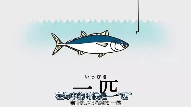 什么 日本人连这些日语都不知道 哔哩哔哩