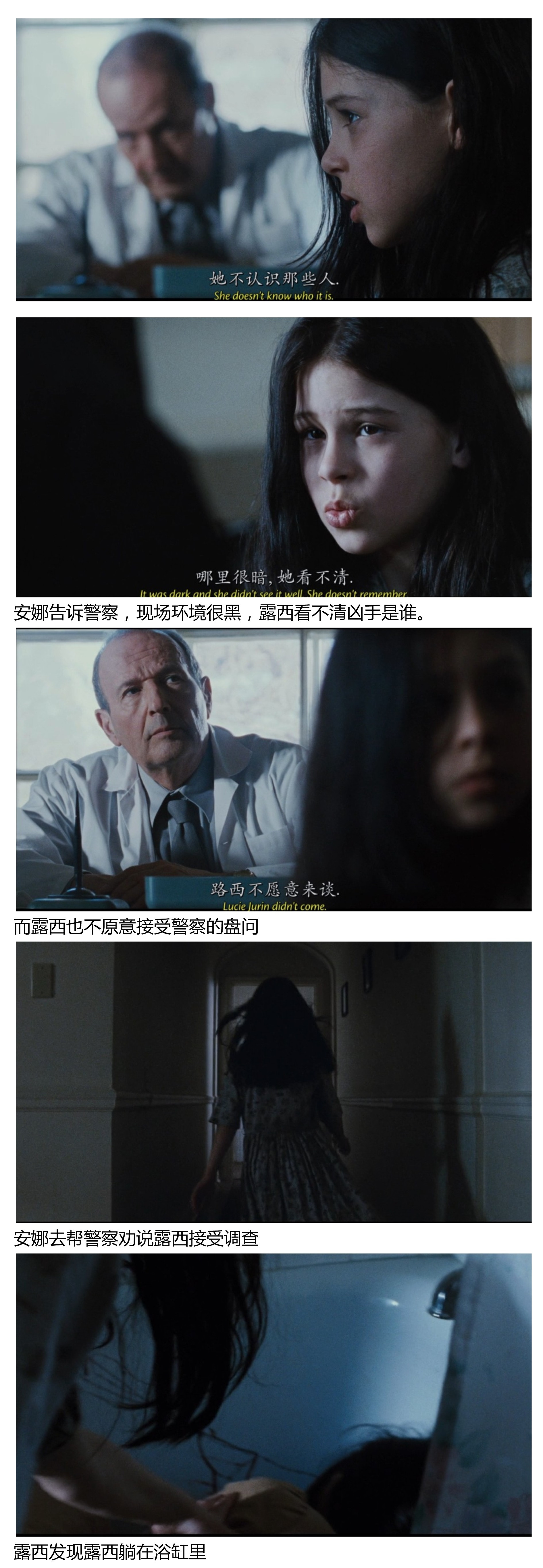少有人解说的恐怖片佳作殉难者