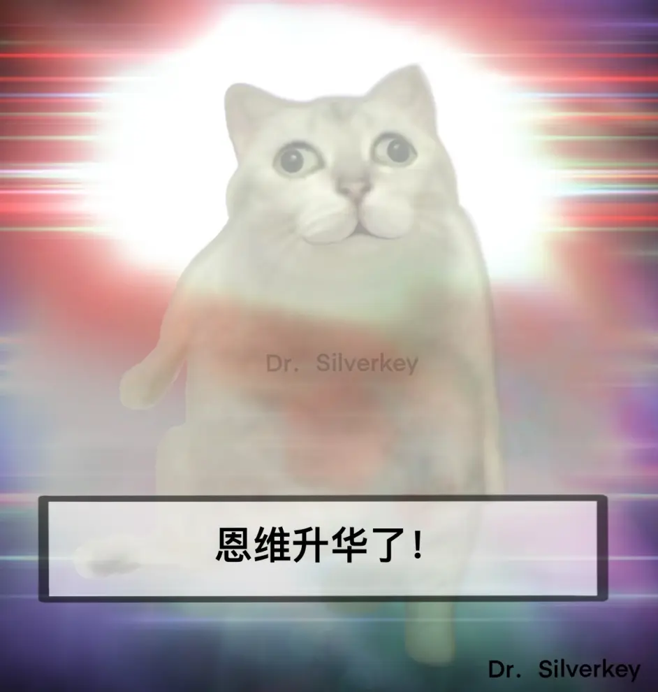 Mur猫表情重制版 素材源自网络 V1 哔哩哔哩