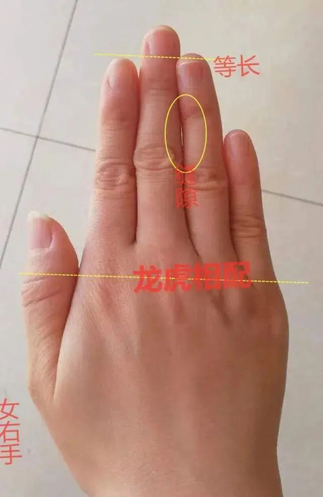 什么样的人女人有才艺 能力强 晚婚一生衣食无亏 钱财不断 哔哩哔哩 什么样的人女人有才艺 能力强 晚婚一生衣食无亏 钱财不断 哔哩哔哩