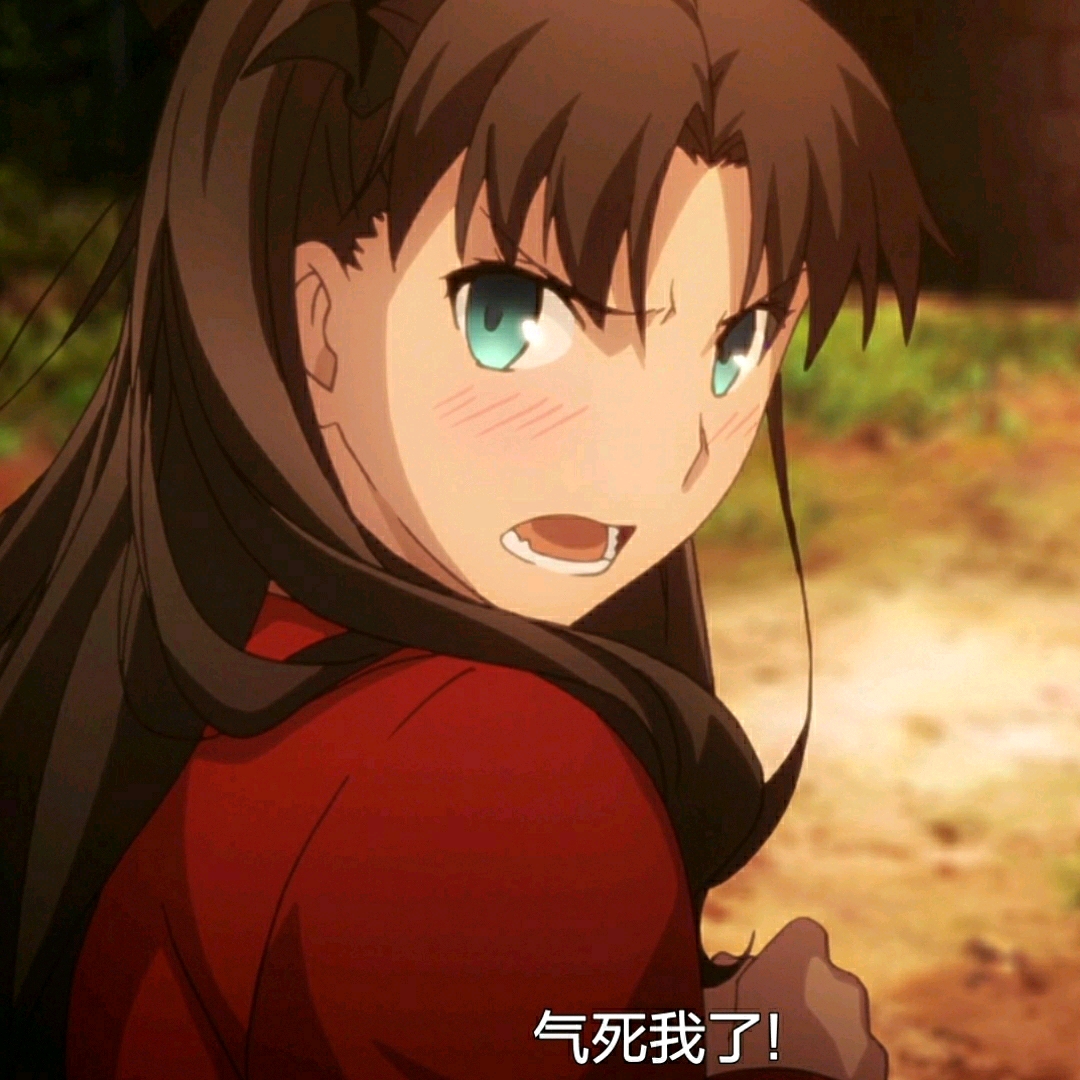 fgo沙雕表情包20