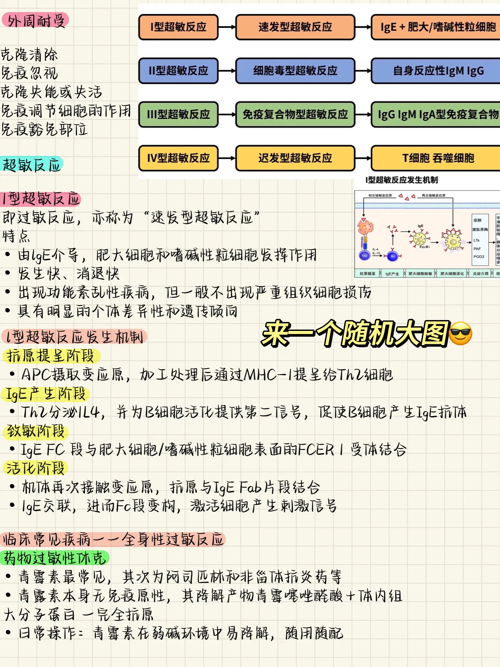 迟发型超敏反应图片