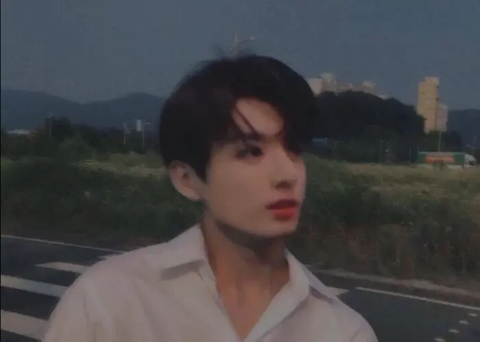 田柾国 山花烂漫 万人拥护 纵使花落 我也爱你若水无边 一 哔哩哔哩