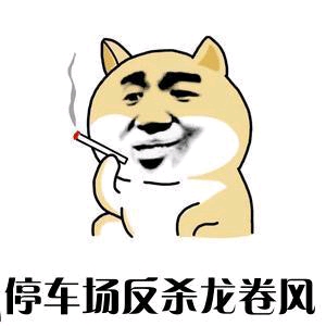 老鼠揍扁了阿福