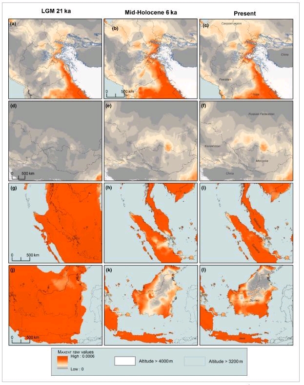 预测更新世-全新世老虎的分布范围及变化