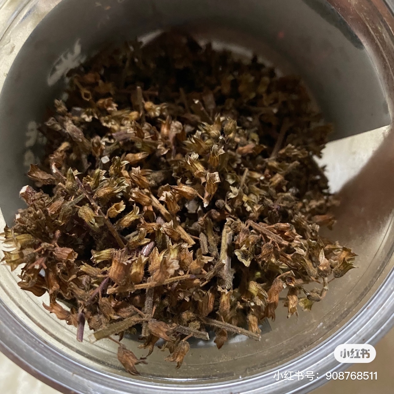 澳洲龙虾三吃是哪三吃_吃龙虾文案_丛林法则吃特别大龙虾