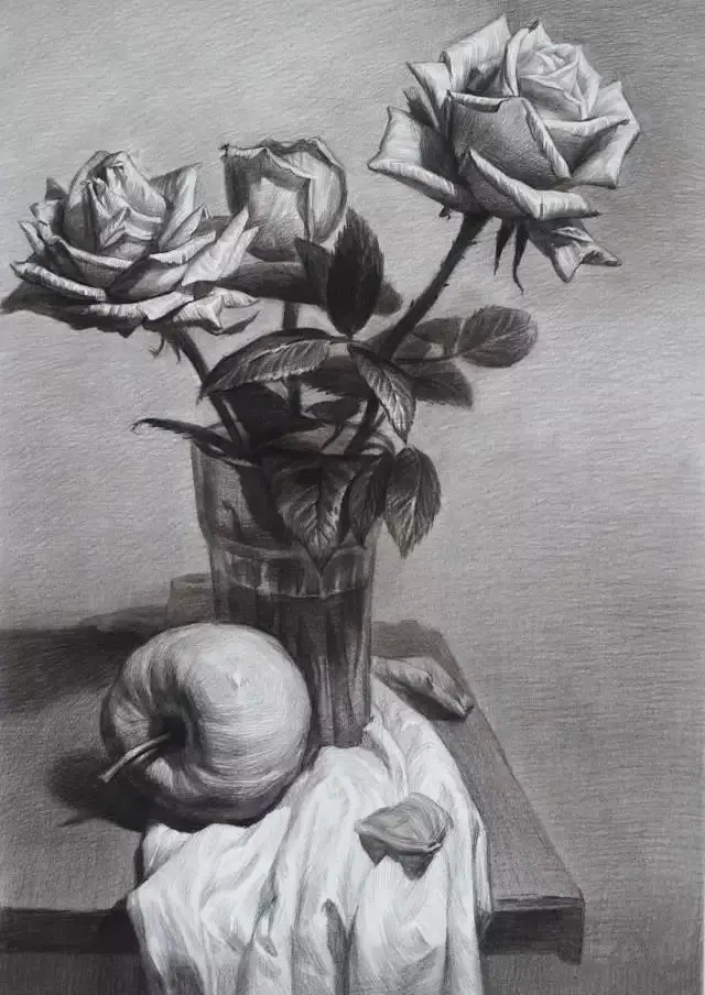 美术生联考素描静物花卉的画法技巧和步骤 哔哩哔哩