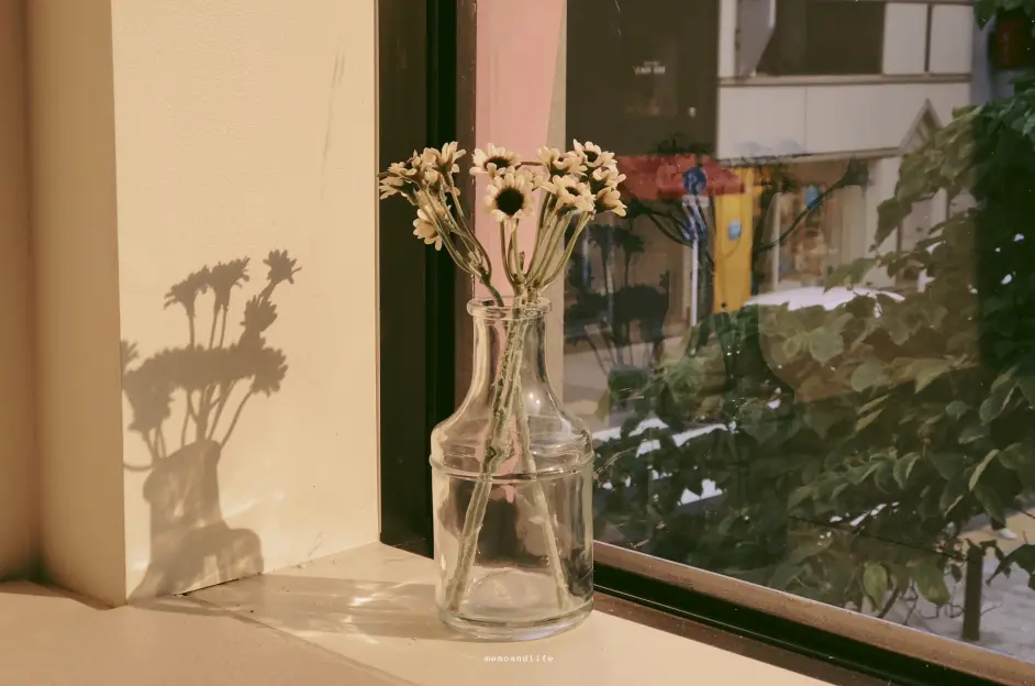 Tokyo 东京散步 哔哩哔哩