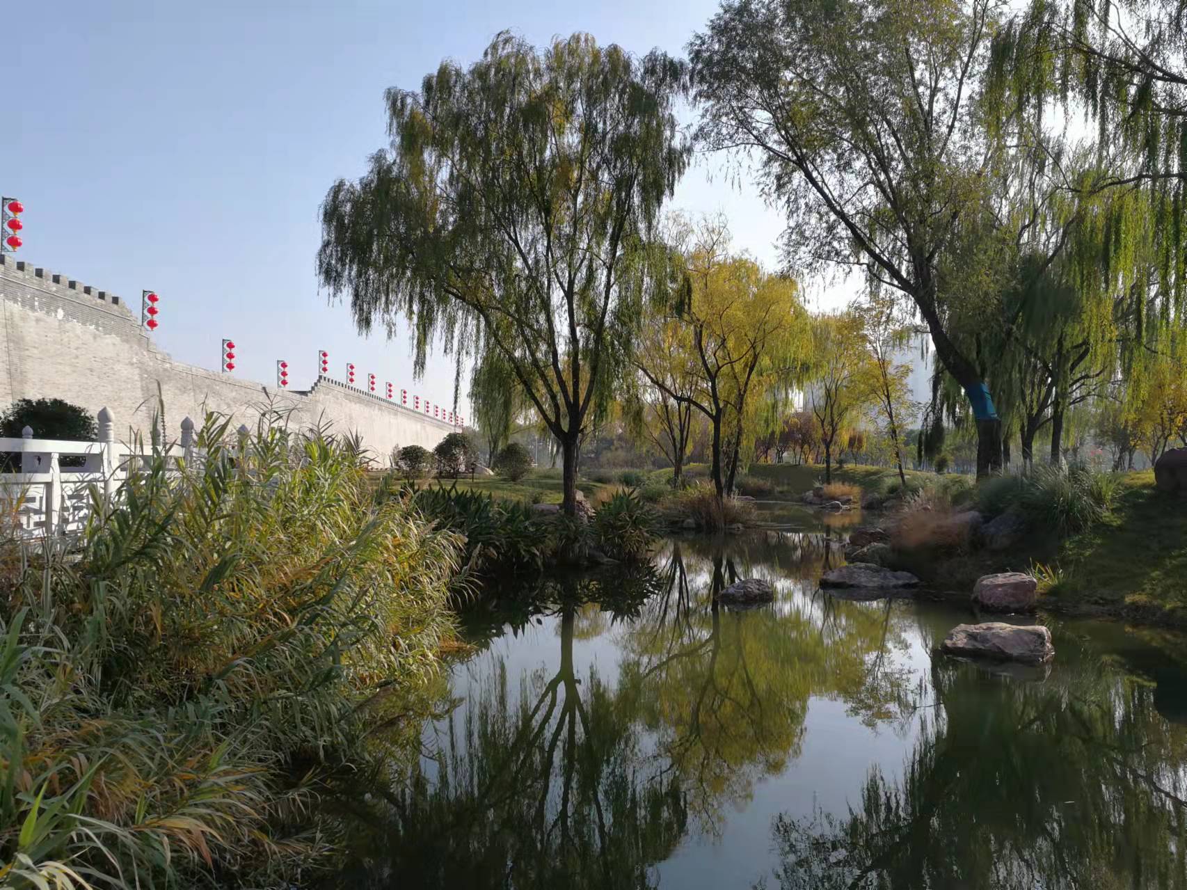 【携程攻略】洛阳隋唐城遗址植物园景点,隋唐遗址植物园，坐落在洛阳新区，离中国国花园不远，公园面积很大，…