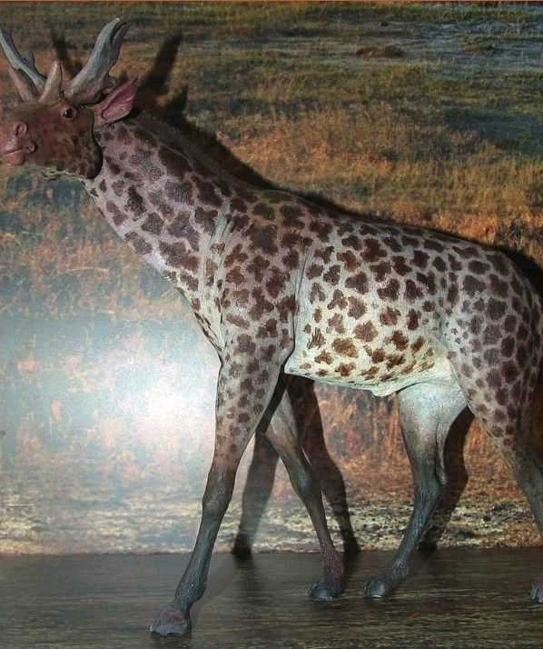 远古时代的长颈鹿图片
