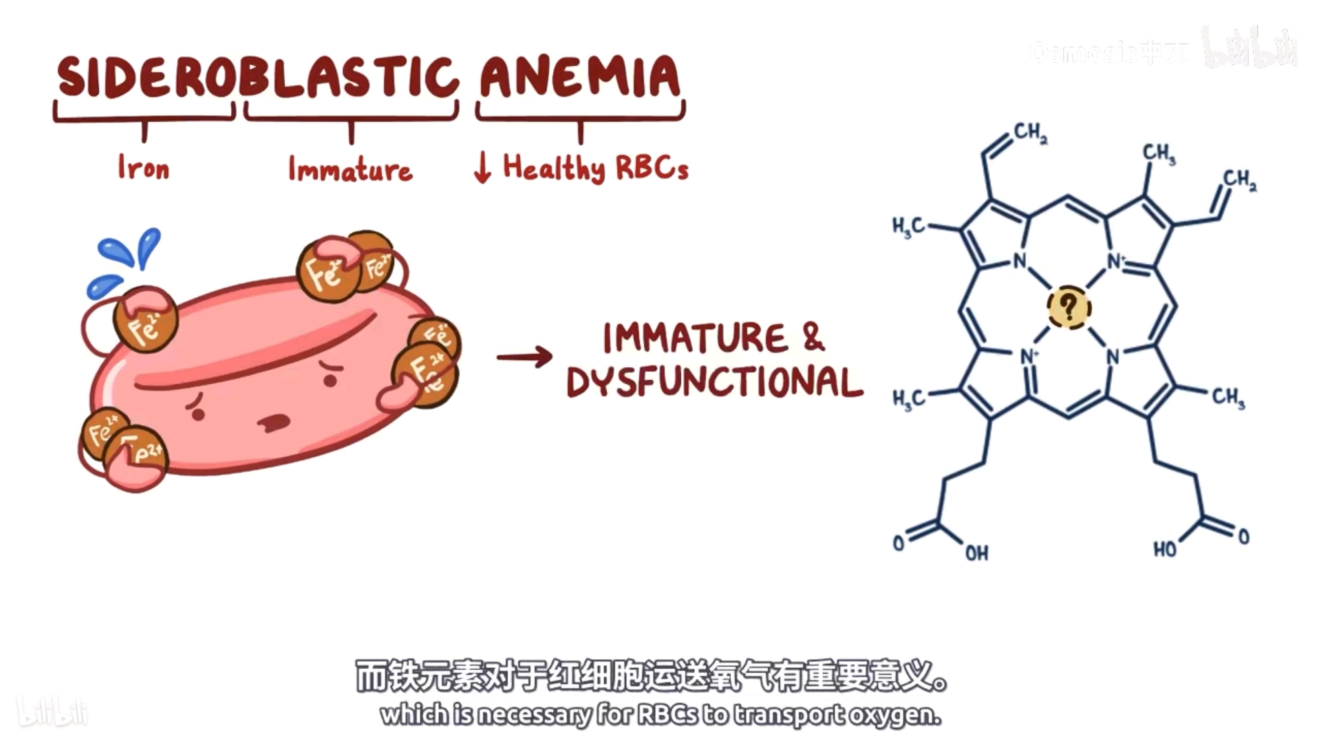 血紅蛋白hemoglobin