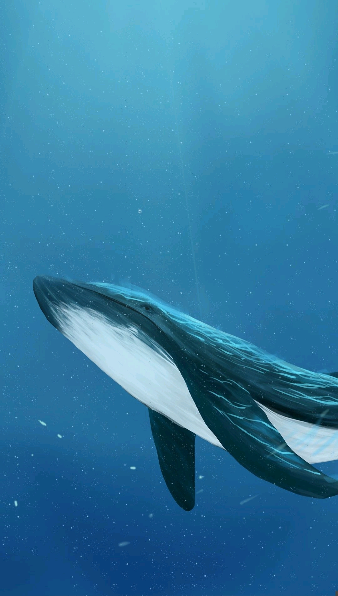 浙江台州最后1头搁浅瓜头鲸已死亡，疑因肺部感染-新闻频道-和讯网