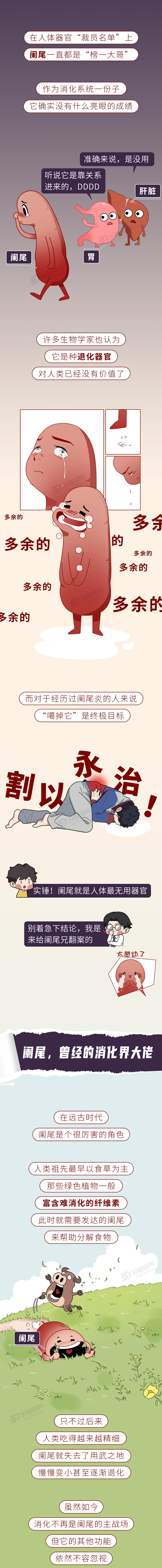 人体最没用的这个器官切掉反而更好1