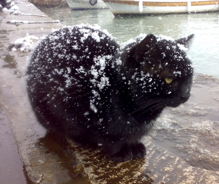 很热?来点冷笑话降降温吧!