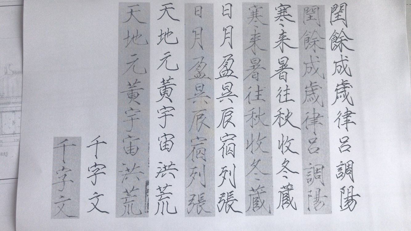 练习瘦金体(千字文)日常打卡8.