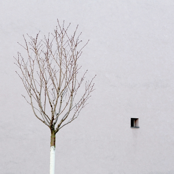 伟德bv1946官网-2026年5月最新国际摄影展赛征稿汇总