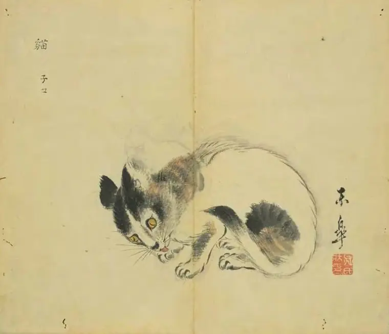 猫是个什么妖 哔哩哔哩