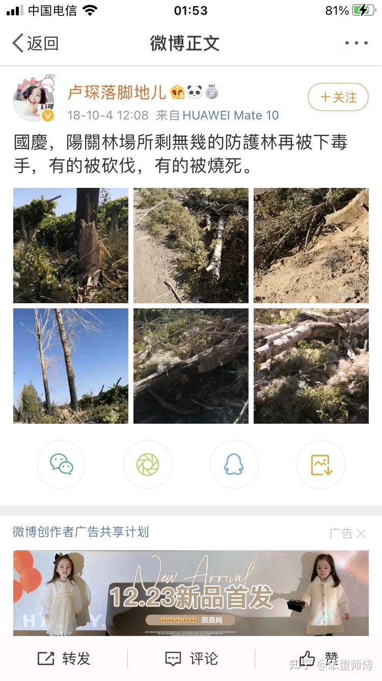 防护林被毁图片