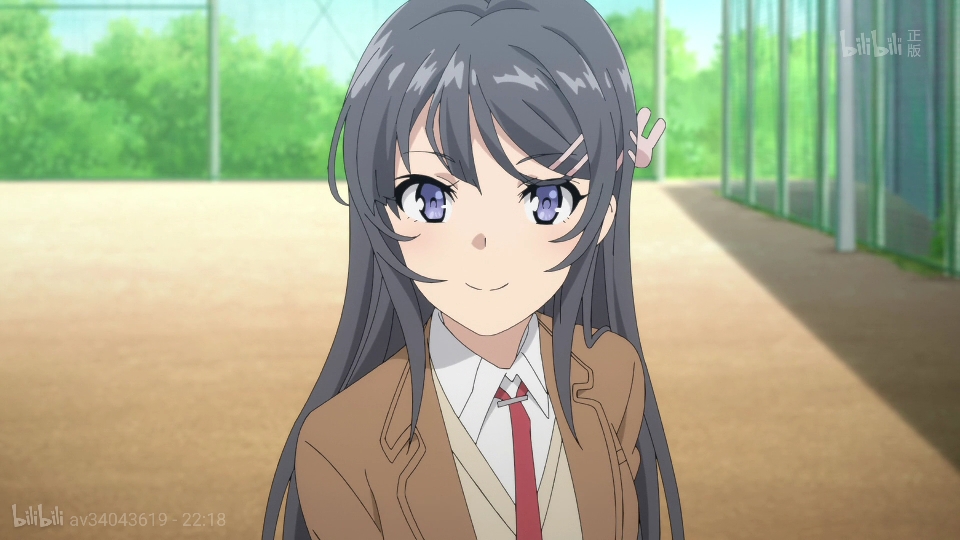 青春期综合症病例报告(1)