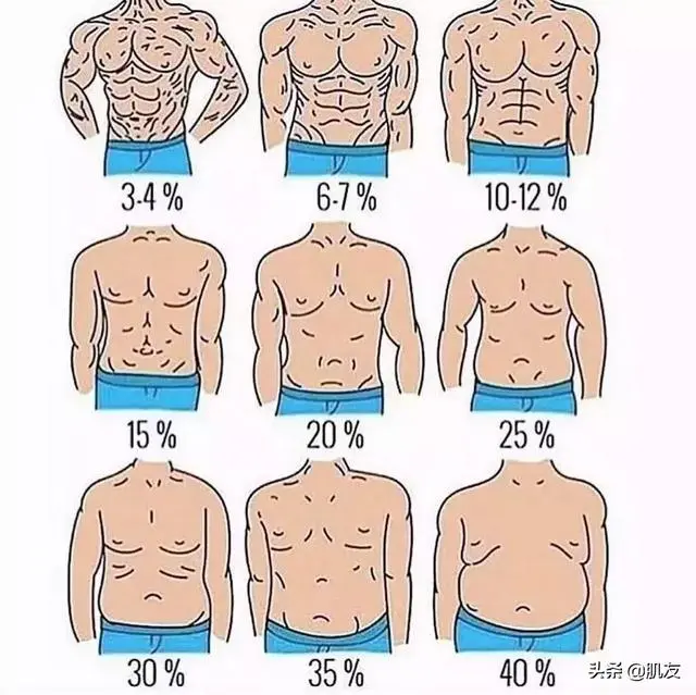 70岁身体素质自测表 你的体能达标吗 哔哩哔哩