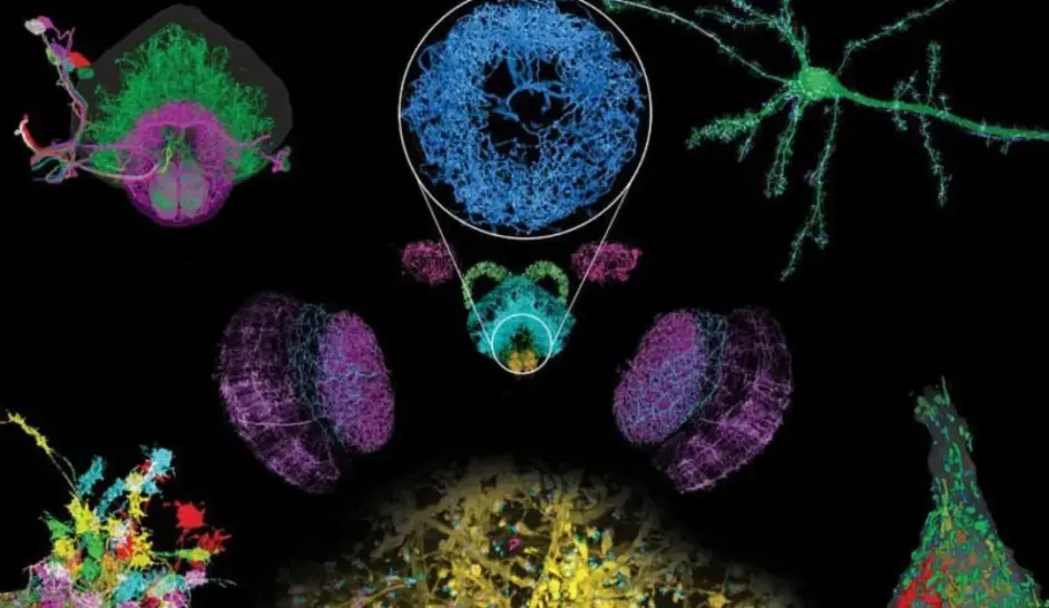 这里只接收天才u2014 MIT Media Lab - 哔哩哔哩