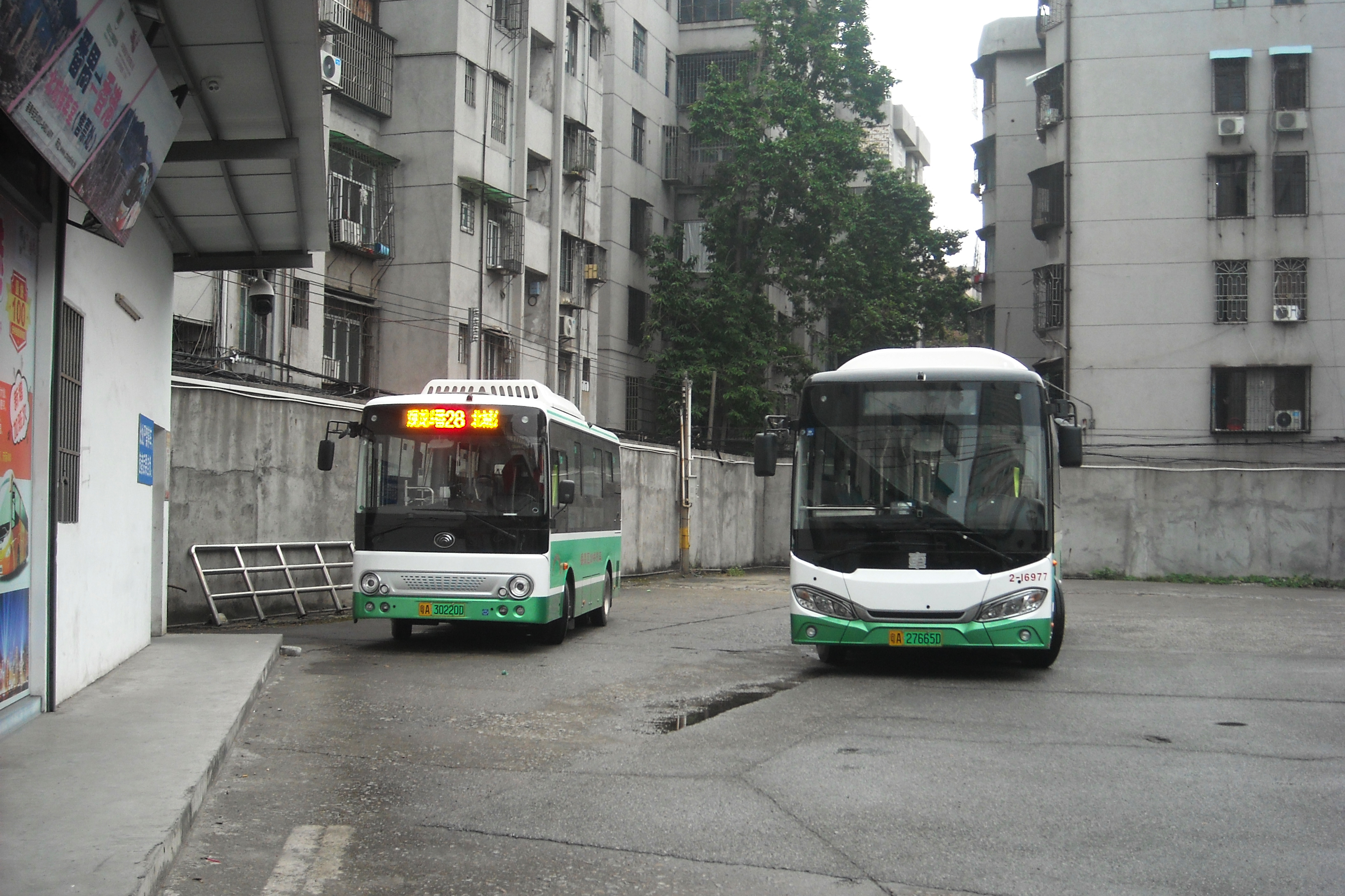 番禺公交最近发生的一些事(番公篇)