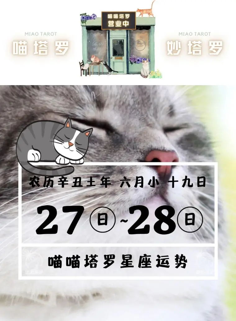 喵喵塔罗 十二星座运势 7月27日 7月28日 哔哩哔哩