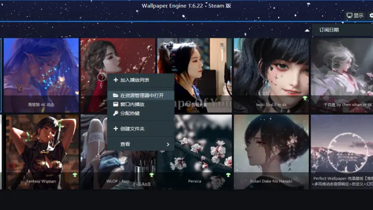 Wallpaper Engine Pkg解包教程 哔哩哔哩