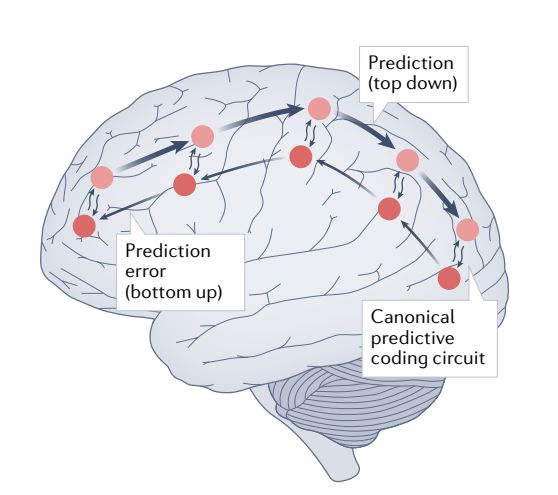 Nat Rev Neurosci 最新综述：意识理论 - 哔哩哔哩